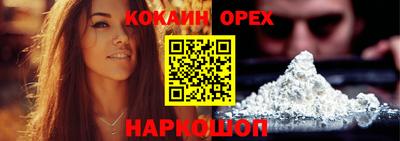 крисы Новодвинск