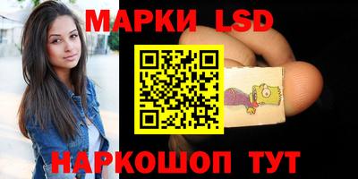 крисы Новодвинск