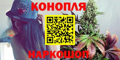 крисы Новодвинск