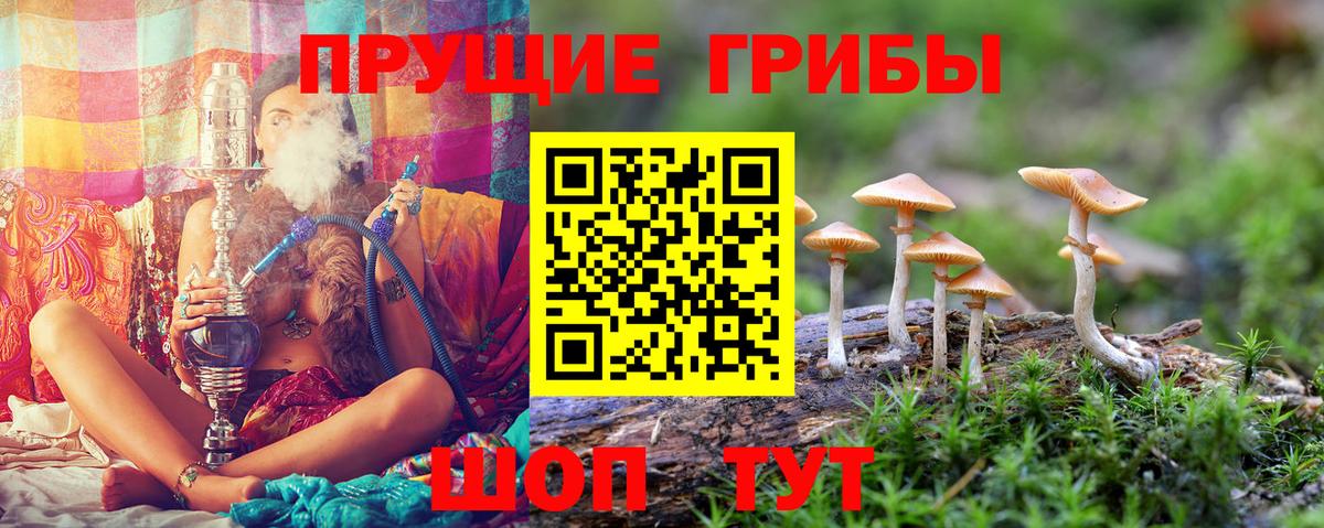 Галлюциногенные грибы мицелий Таганрог